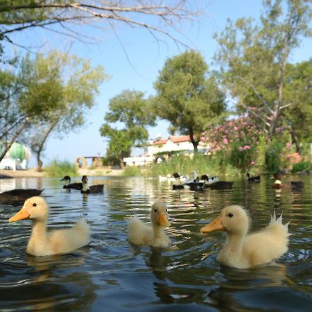 Yonca Lodge Фетхіє Екстер'єр фото