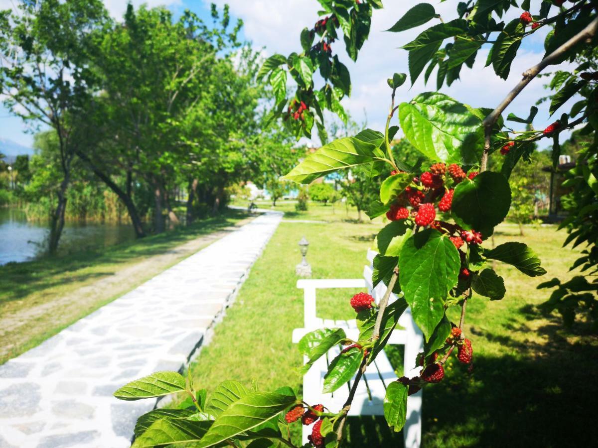 Yonca Lodge Фетхіє Екстер'єр фото