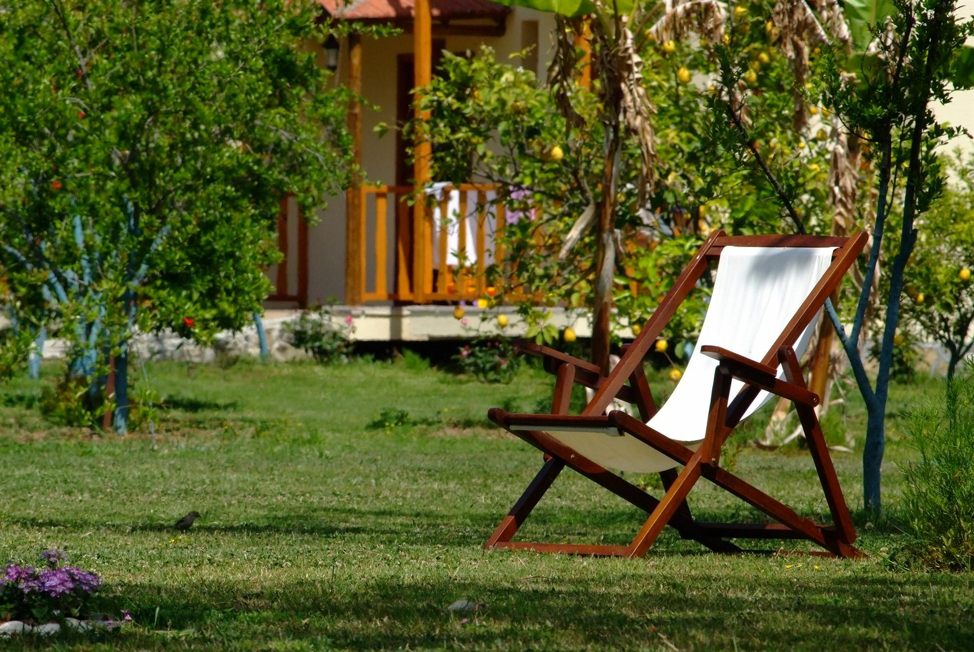 Yonca Lodge Фетхіє Екстер'єр фото